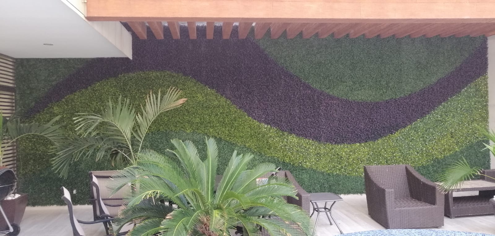 trabajo realizado muro verde en terraza con alberca